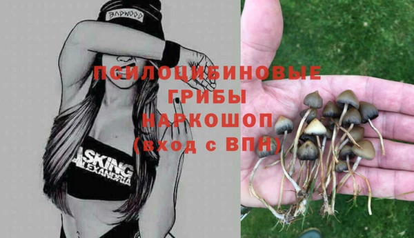 марки lsd Гусь-Хрустальный
