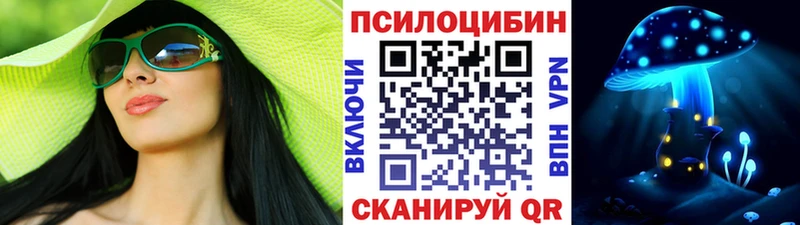 Купить  Малмыж  Псилоцибиновые грибы Psilocybine cubensis 